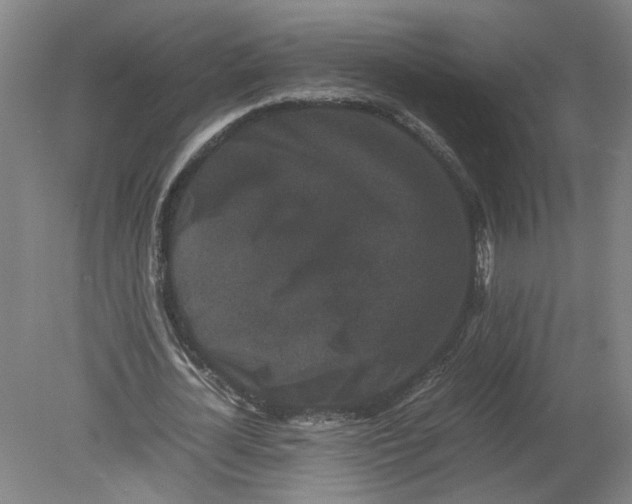X0000080190724200612302311