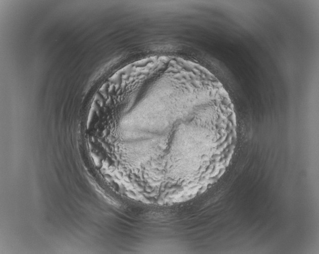 X0000080190725200612302311