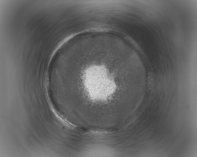X0000080190726200612302311