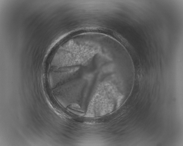 X0000080190728200612302311