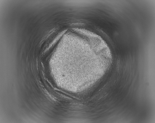 X0000080190729200612302311