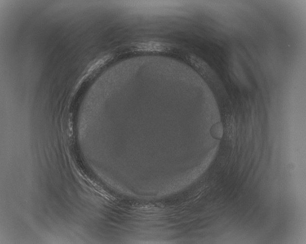 X0000080190731200612302311