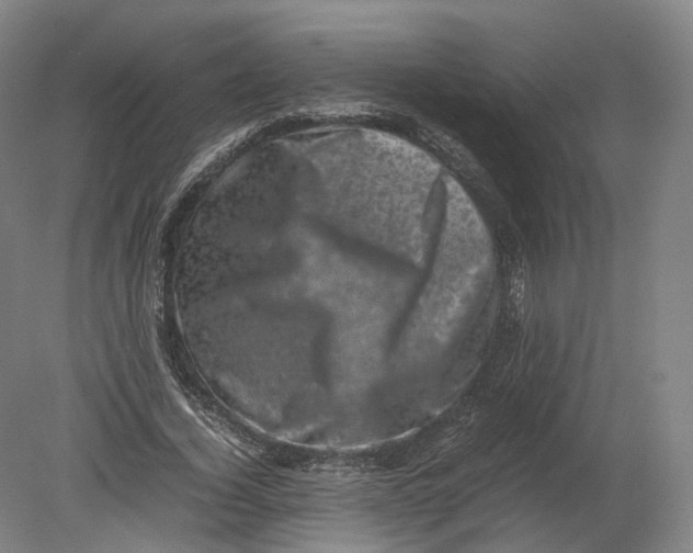 X0000080190732200612302311