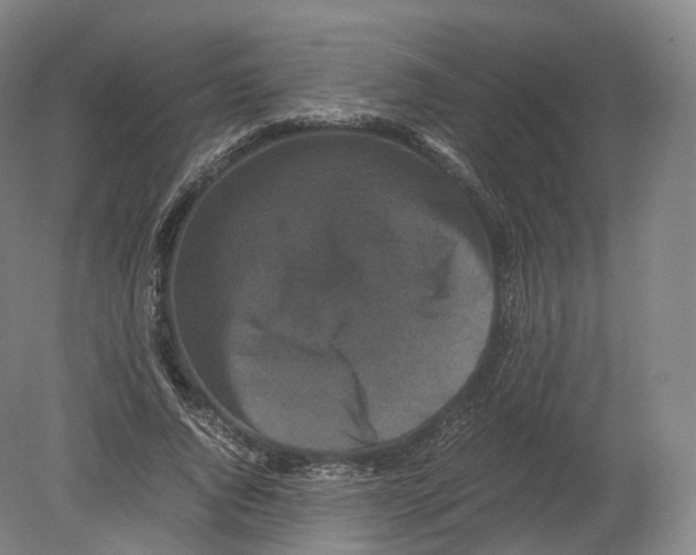 X0000080190736200612302311