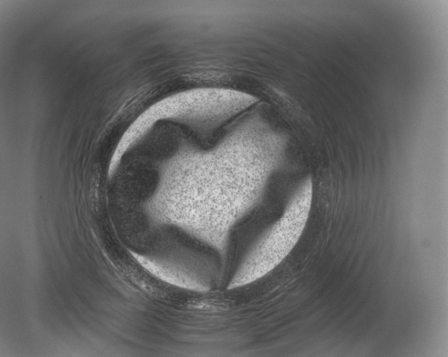 X0000080190739200612302311