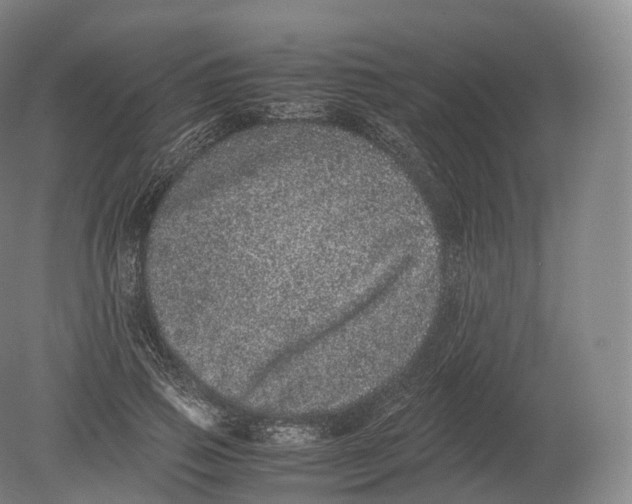 X0000080190741200612302311