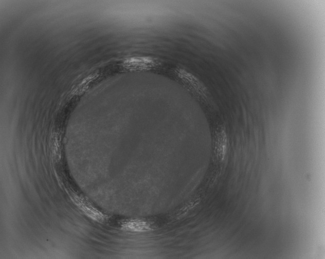 X0000080190759200612302311