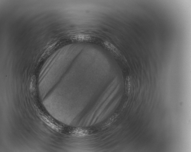 X0000080190760200612302311
