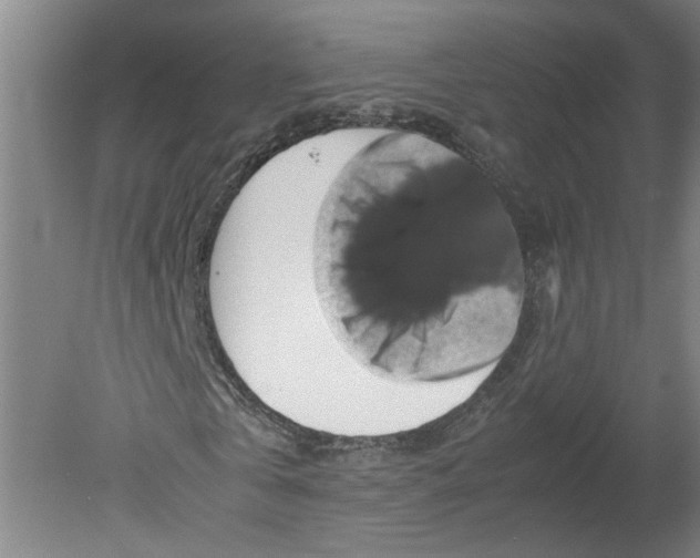 X0000080190769200612302311
