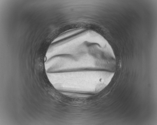 X0000080190771200612302311
