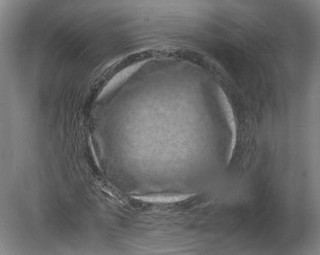 X0000080190773200612302311