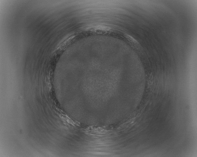 X0000080190774200612302311