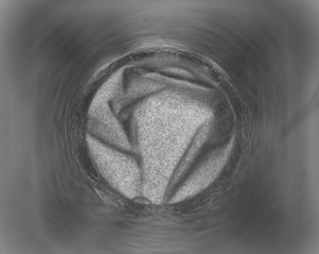 X0000080190775200612302311