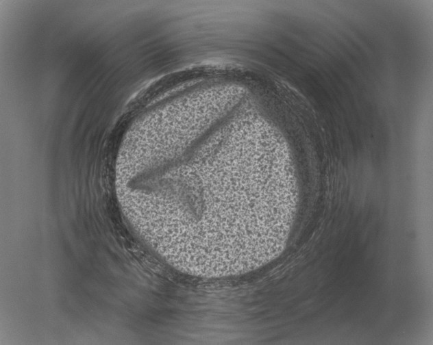 X0000080190776200612302310