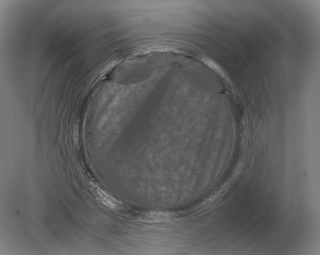X0000080190777200612302310