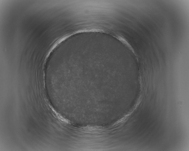 X0000080190781200612302310