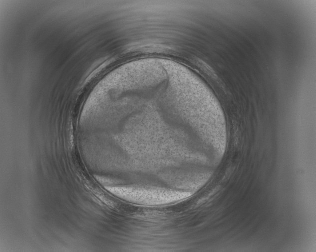 X0000080190782200612302310