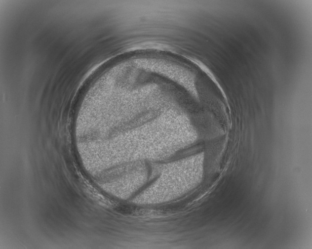X0000080190783200612302310