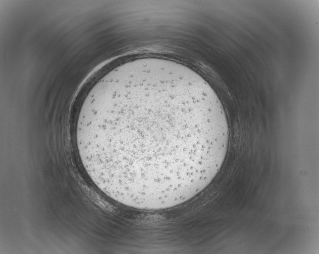 X0000080190784200612302310