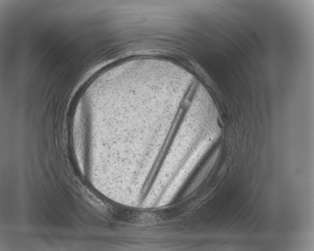 X0000080190787200612302310