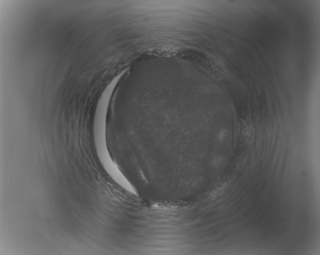 X0000080190818200612302309