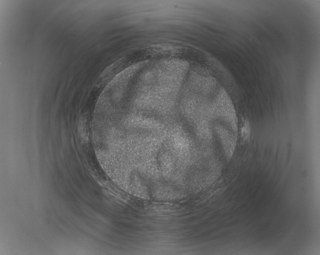 X0000080190819200612302309