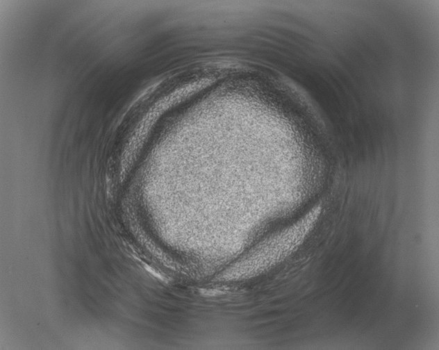 X0000080190823200612302309