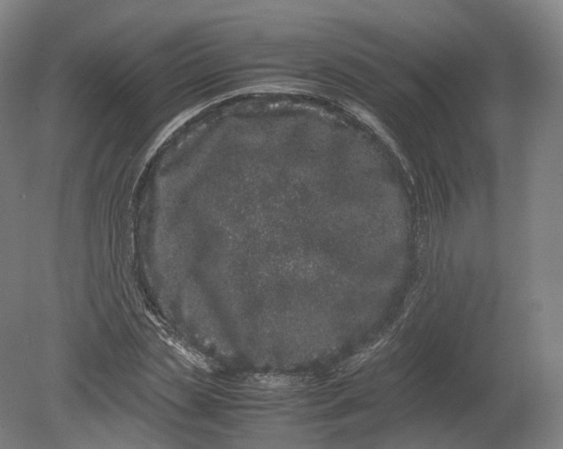 X0000080190829200612302309