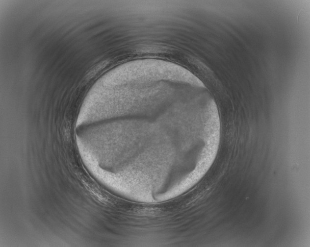 X0000080190833200612302309
