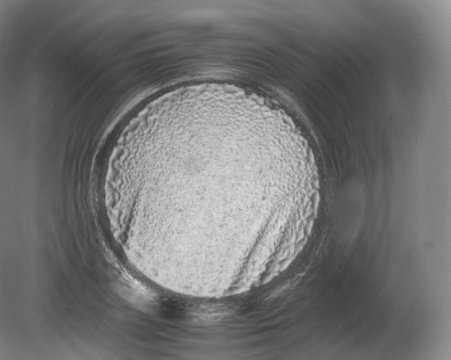 X0000080190835200612302309