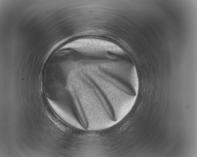 X0000080190838200612302309