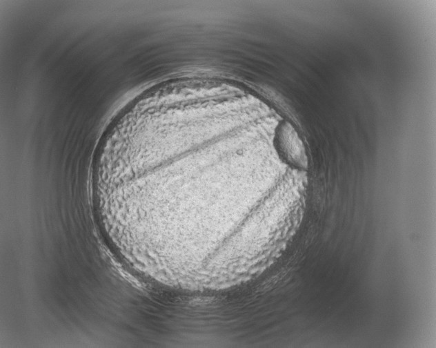 X0000080190839200612302309