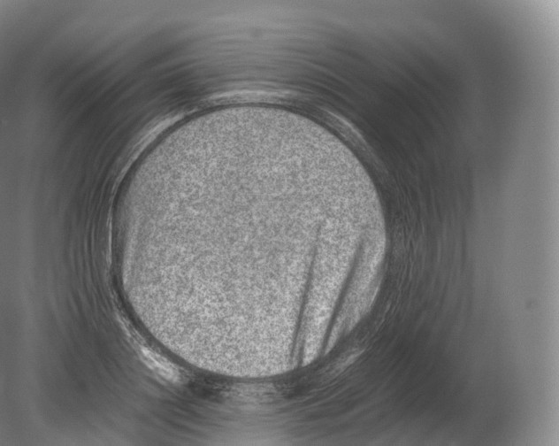 X0000080190844200612302309