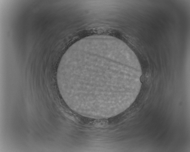 X0000080190865200612302309