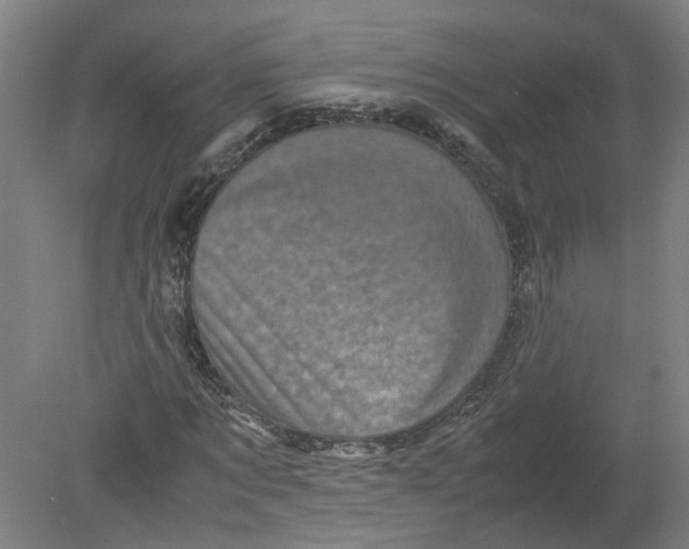 X0000080190869200612302309