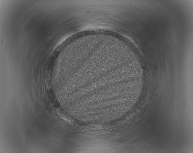X0000080190871200612302309