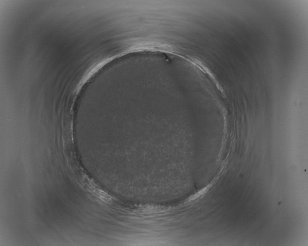 X0000080190877200612302309