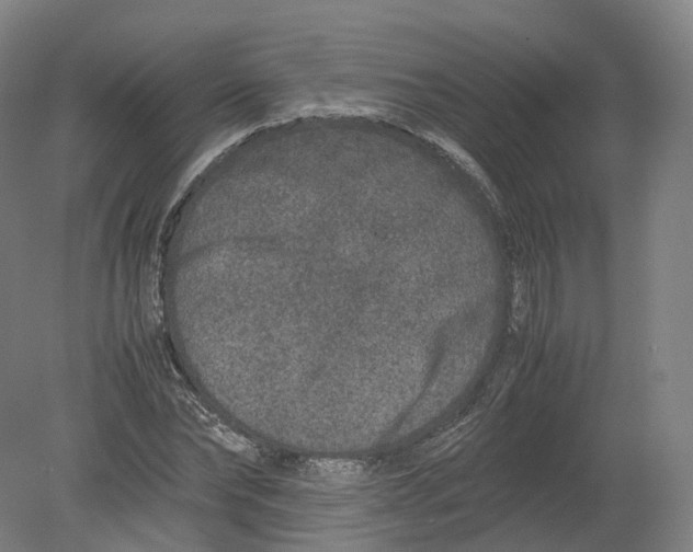 X0000080190878200612302309
