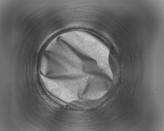 X0000080190880200612302309