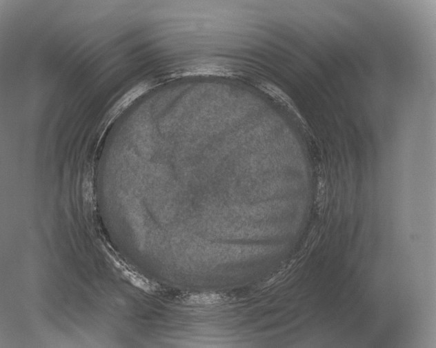 X0000080190882200612302309
