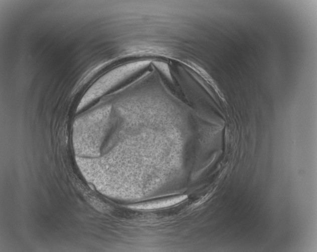 X0000080190885200612302309