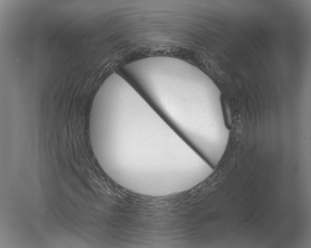 X0000080190916200612302307