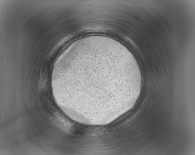 X0000080190922200612302308