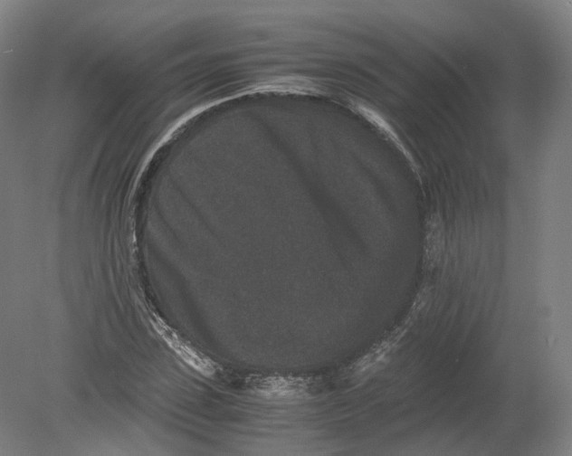 X0000080190923200612302308