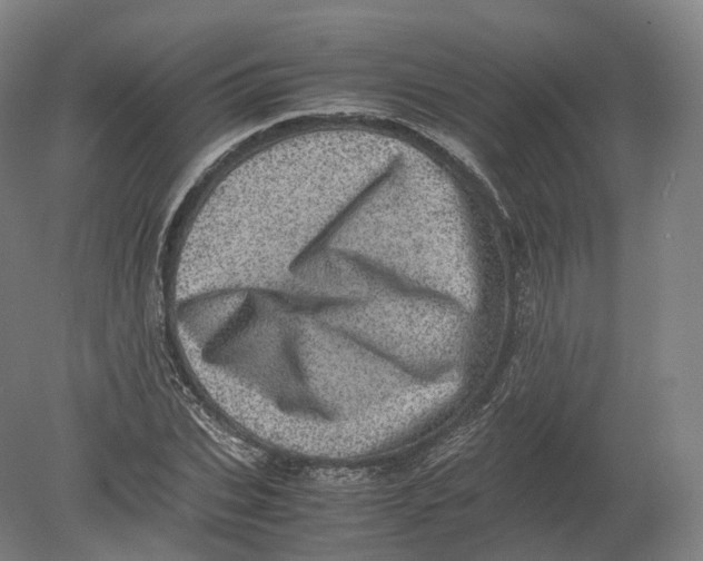 X0000080190927200612302308