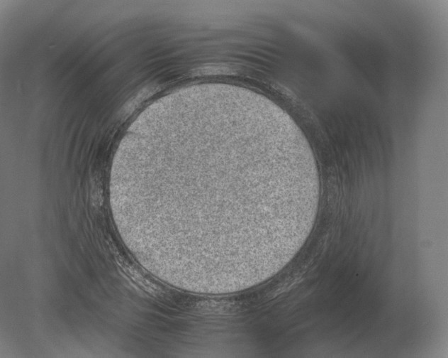 X0000080190929200612302308