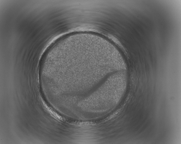 X0000080190934200612302308