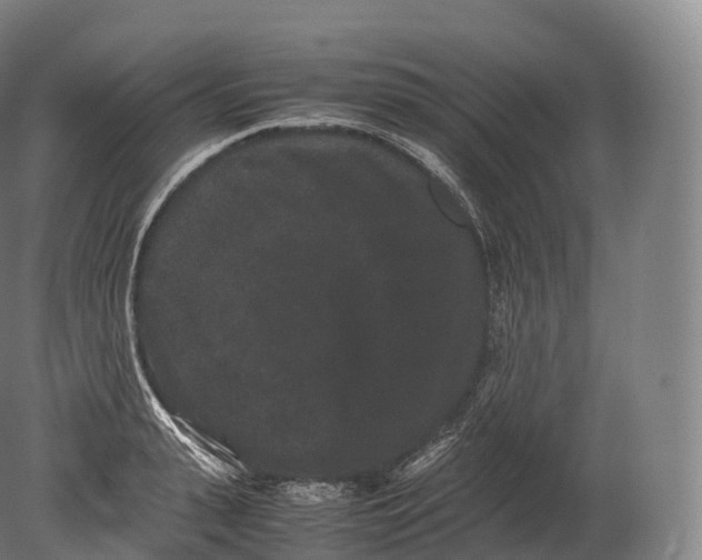 X0000080190943200612302308