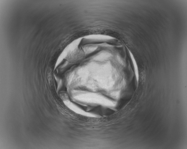 X0000080190963200612302307