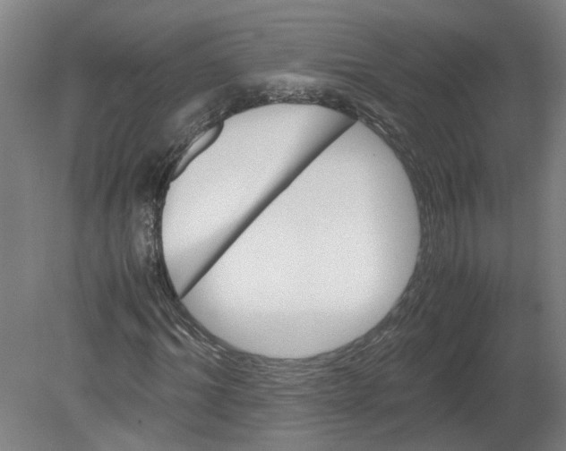 X0000080190964200612302307